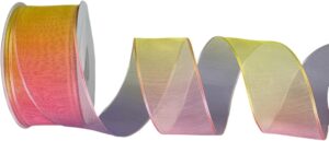 XMRIBBON Rainbow Sheer Organza Ribb...
