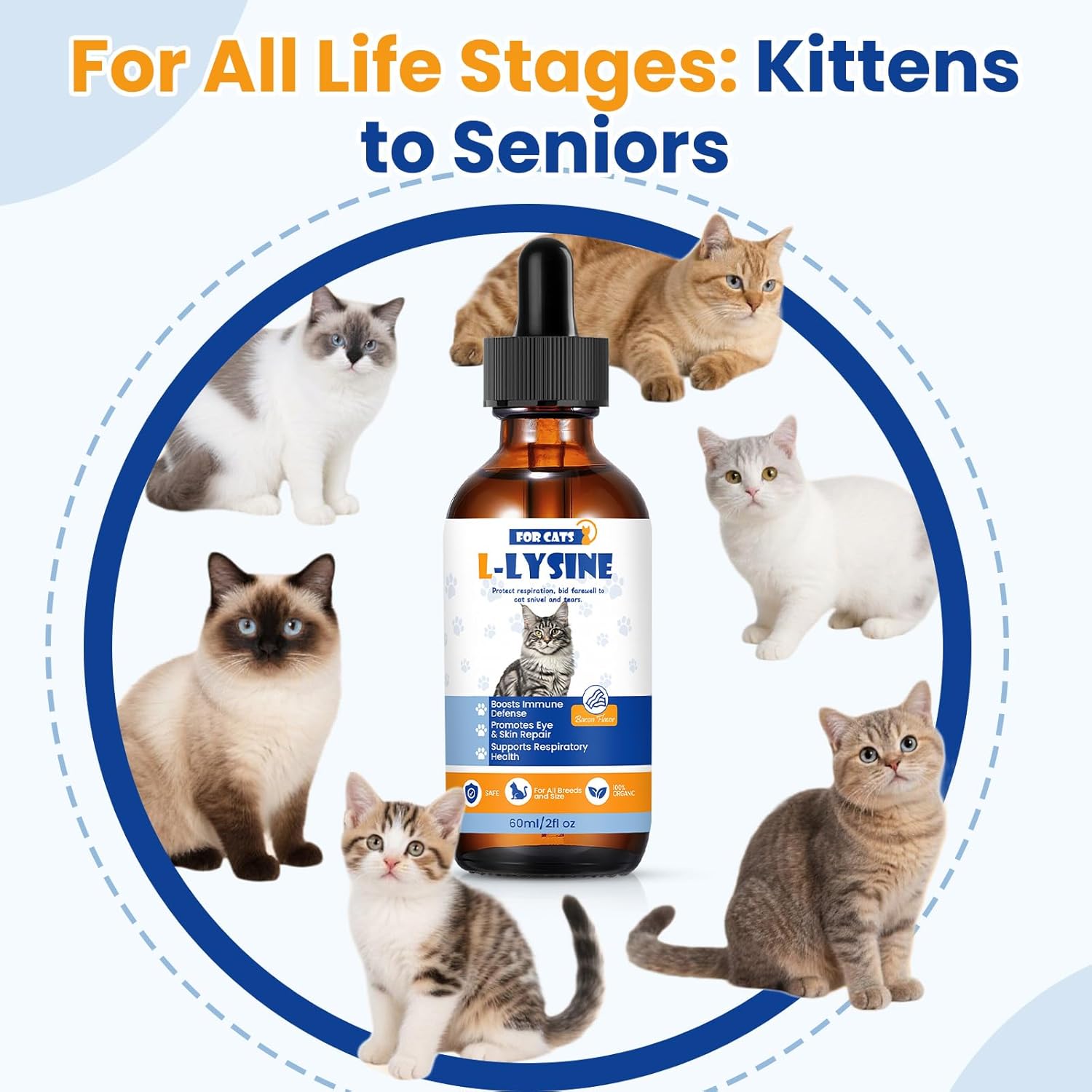 Premium Cat L-Lysine Liquid Drops for Immune Support and Respiratory Health Helps with Sneezing Eye Discharge and Stress Relief with Essential Vitamins and Taurine for Kittens and Adult Cats - Image 5