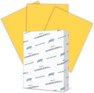 Hammermill Colored Paper, 20 lb Gol...
