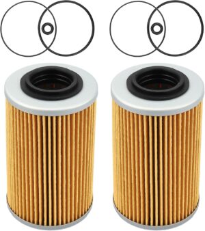 420956741 Oil Filter & O-Ring ...