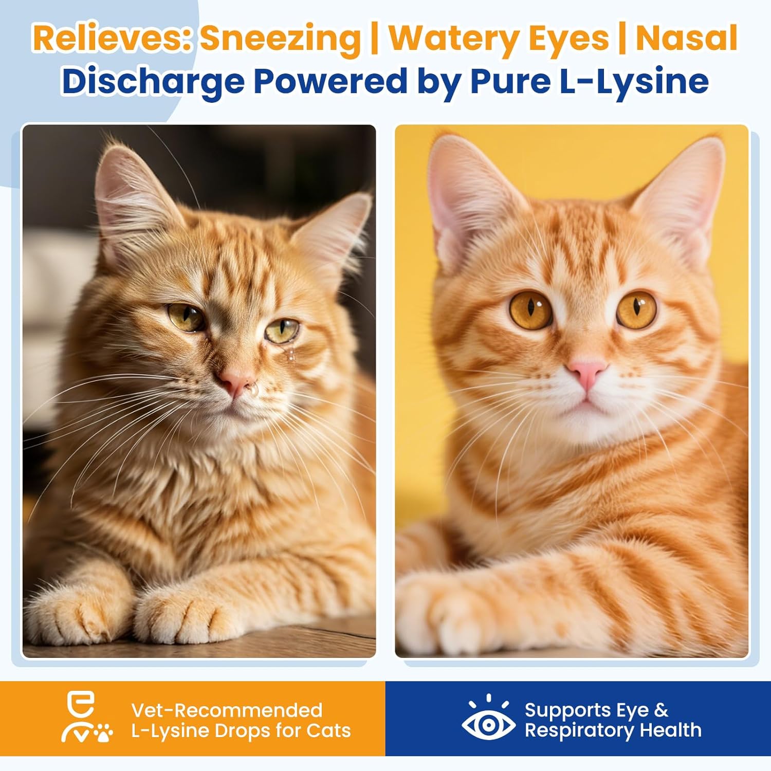 Premium Cat L-Lysine Liquid Drops for Immune Support and Respiratory Health Helps with Sneezing Eye Discharge and Stress Relief with Essential Vitamins and Taurine for Kittens and Adult Cats - Image 2