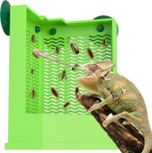 Pawfly Reptile Feeder Bowl – ...