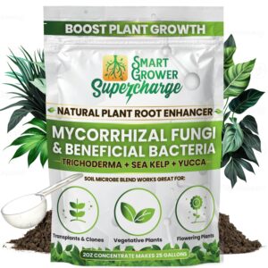 Mycorrhizal Fungi with Beneficial B...