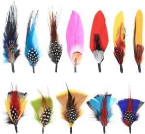 Hat Feathers, 12 Pcs Natural Feathe...