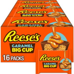 REESE’S Big Cup Caramel Milk ...