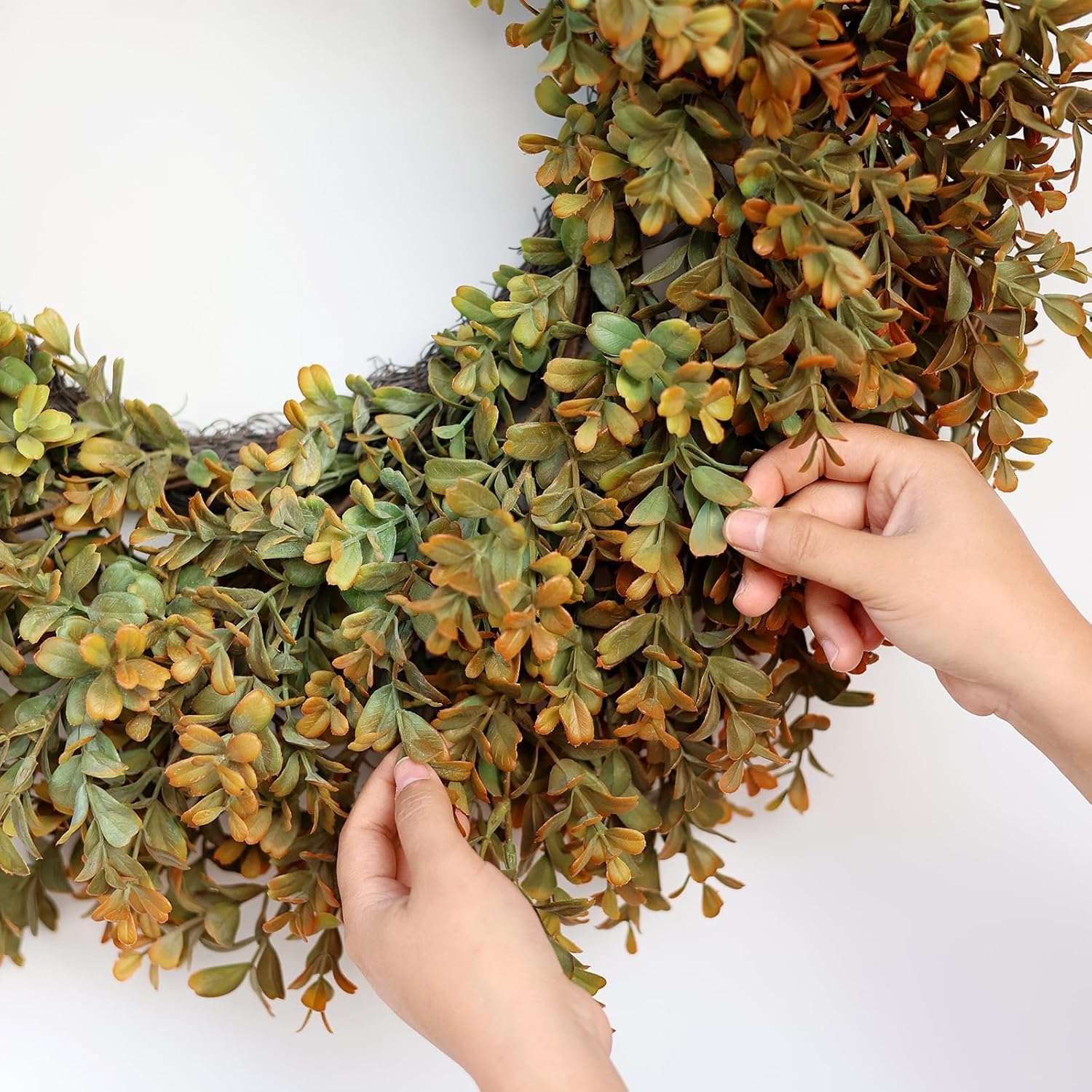 26'' Large Fall Wreath for Front Door, Porch, Window- Artificial Boxwood Leaves Outdoor Autumn Wreath for Home, Farmhouse Wall Thanksgiving Day Harvest Festival Decor - Image 7