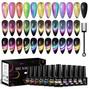 MTSSII 13PCS Cat Eye Gel Nail Polis...