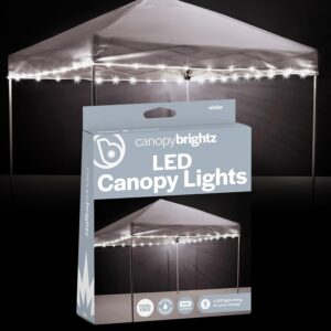 Brightz LED Canopy Lights, White &#...