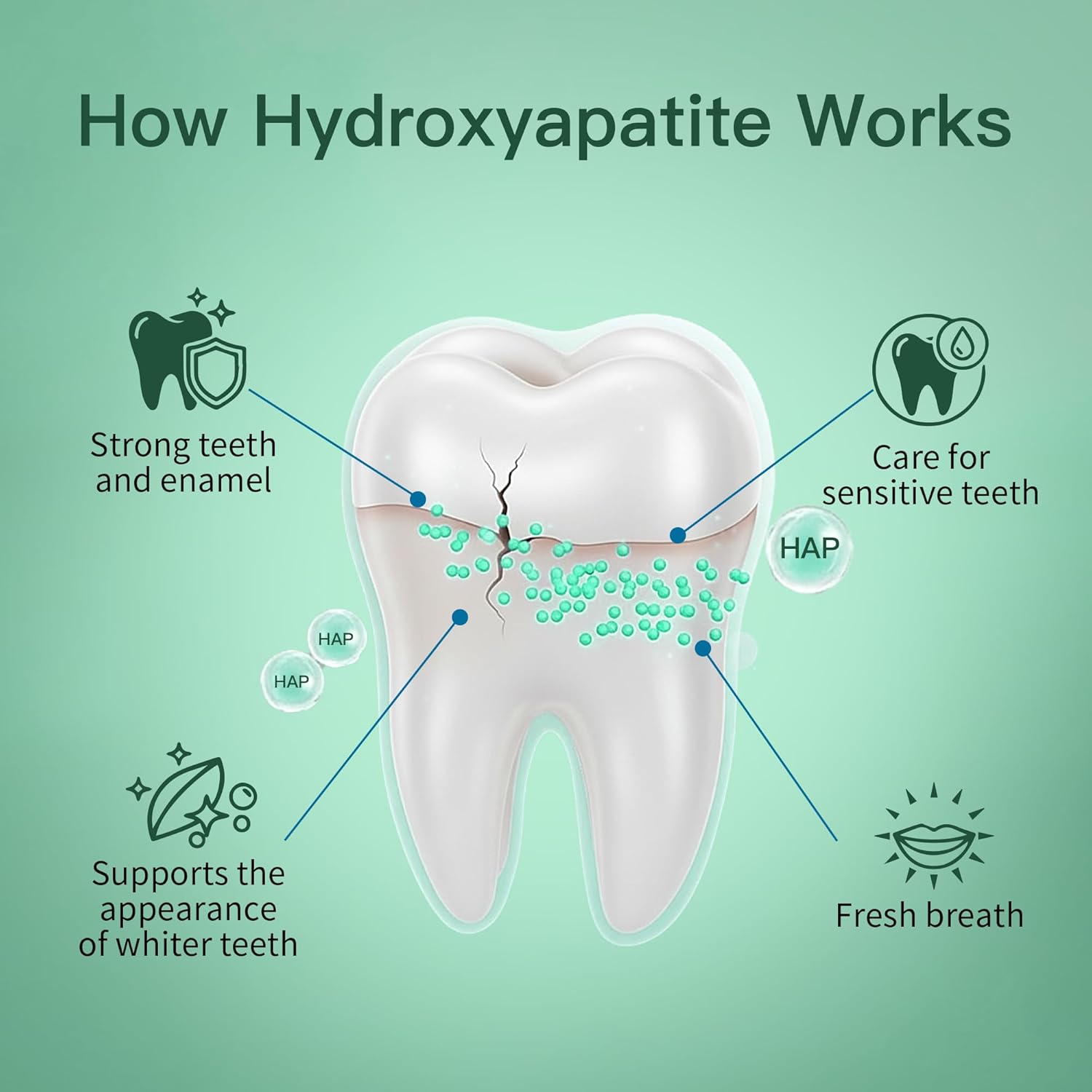 Remineralizing Gum with Hydroxyapatite Xylitol - Sugar Free Chewing Gum With Coconut Oil Activated Charcoal - Supports Enamel Health & Fresh Breath - Aspartame Free, Plastic Free, Dye Free - 72 Pieces(Pack of 4, Spearmint) - Image 3