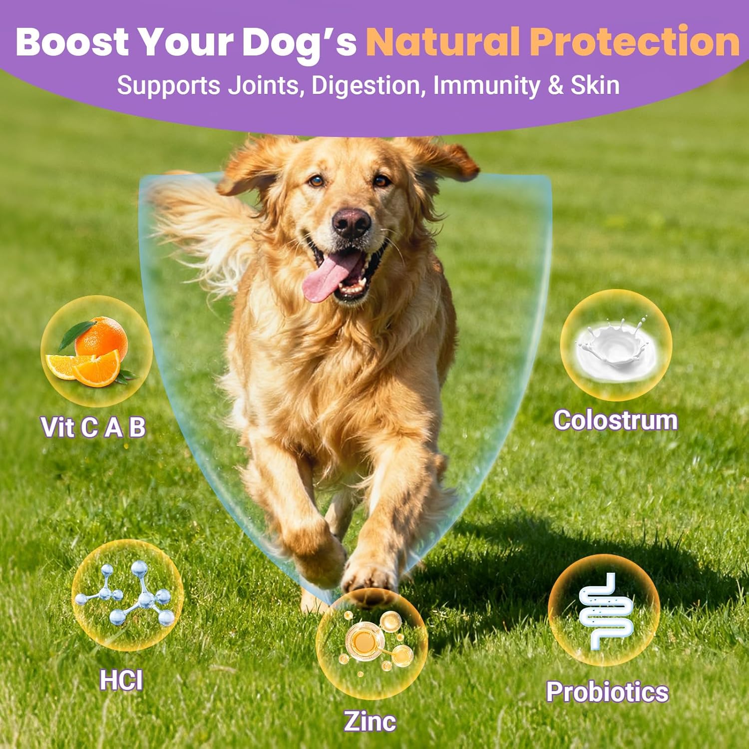 Dog Multivitamin 25 in 1 Chewable Dogs Vitamins Supplements Treats for Pet Omega-3 Glucosamine Vitamin for Puppy Supplies Skin Coat, Heart, HIPS & Joints, Digestion & Immune System 100pcs - Image 7