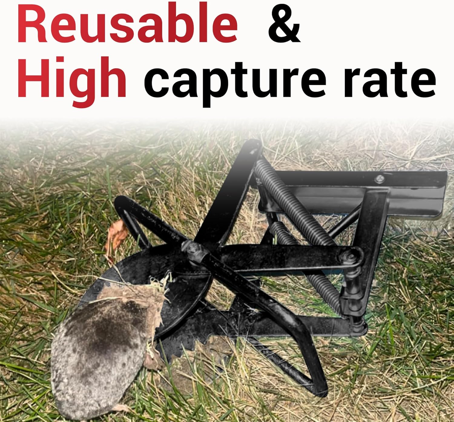 Mole Traps That Kill Best, 2 Pack Scissor Mole Trap, Sleek Black Stainless Steel Finish - Image 3