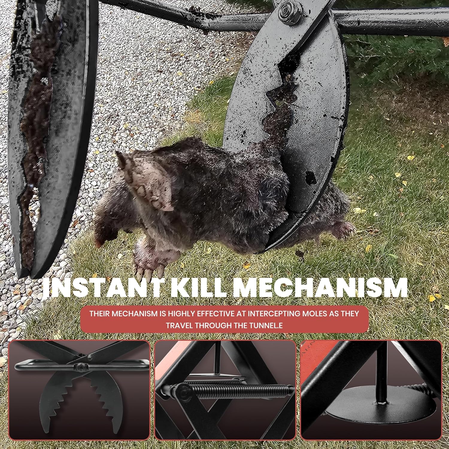 Mole Traps That Kill Best, 2 Pack Scissor Mole Trap, Sleek Black Stainless Steel Finish - Image 6
