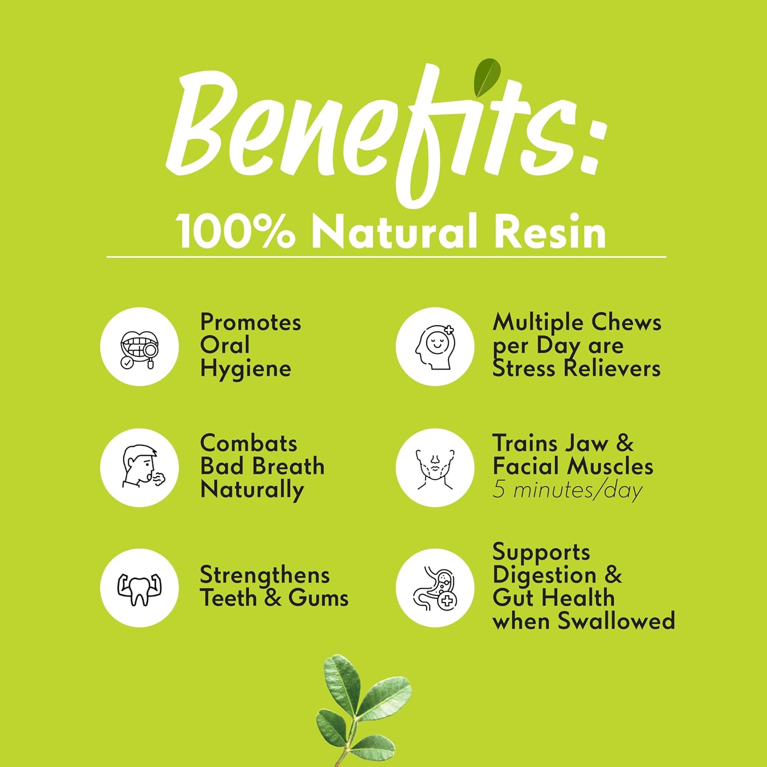 Chios Mastiha Natural Resin 100g/3.53oz – Large Tears | 100% Pure Chios Mastic Gum | PDO Certified | Natural Hard Chewing Gum | Sugar-Free, Gluten-Free, Vegan - Image 5