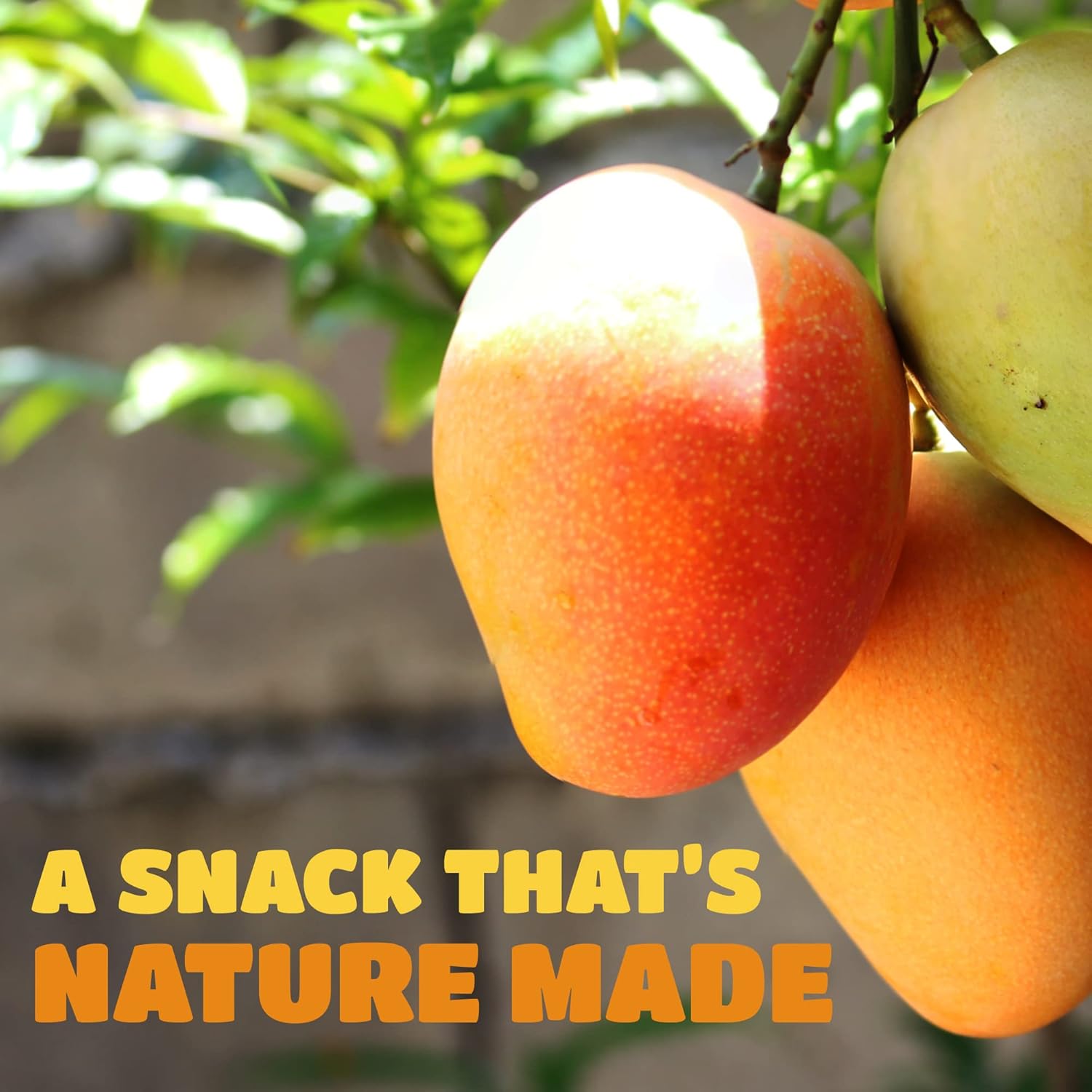 Dried Mango Slices - Delicious Texture Soft & Juicy Low Sugar Added Dried Mango - Naturally Ripened Mangos -Gluten Free Dry Mangoes Natural Source of Vitamin C, Fiber, (Mango 8 oz. 6 Pack) - Image 7