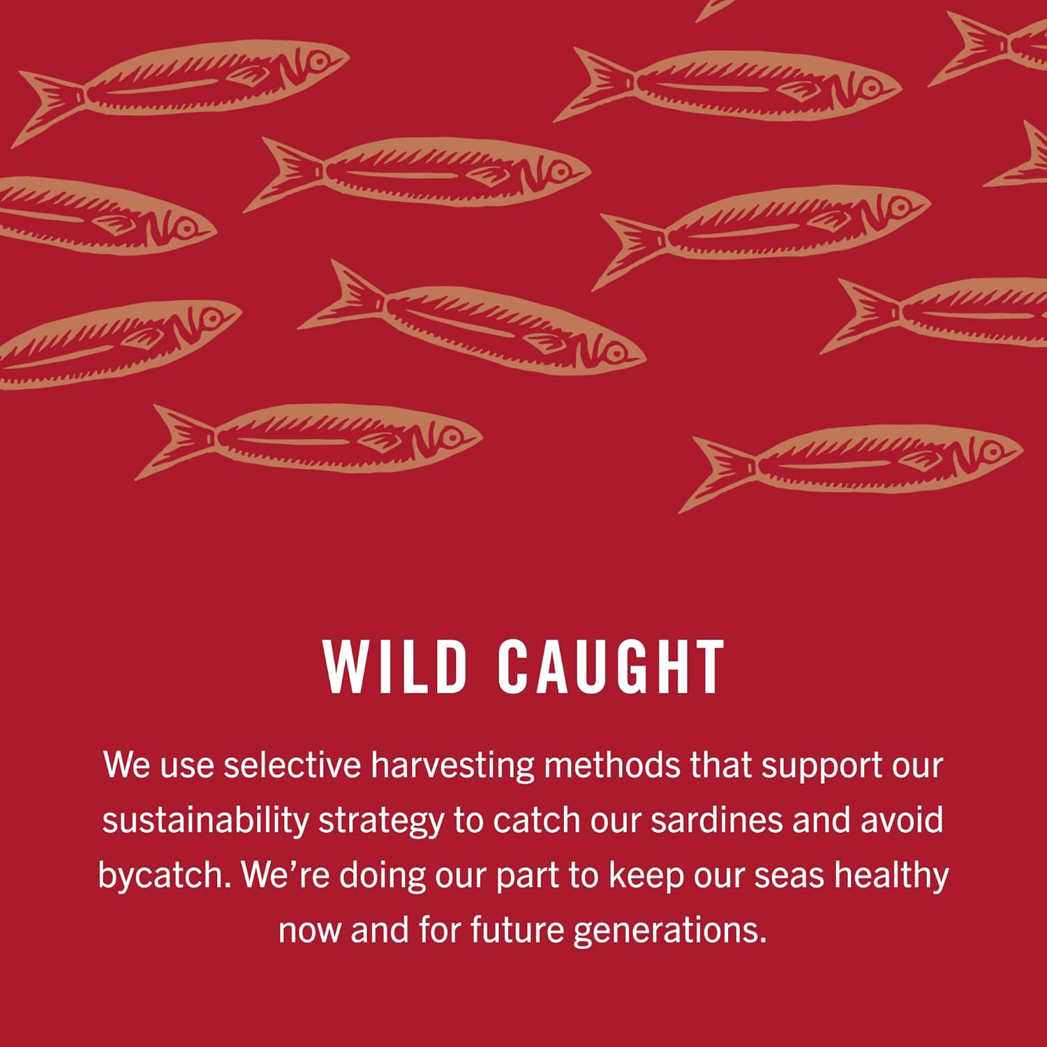 King Oscar Wild Caught Sardines in Extra Virgin Olive Oil, Hot Jalapeno Peppers, 3.75 Ounce (Pack of 12) (3480000656) - Image 10