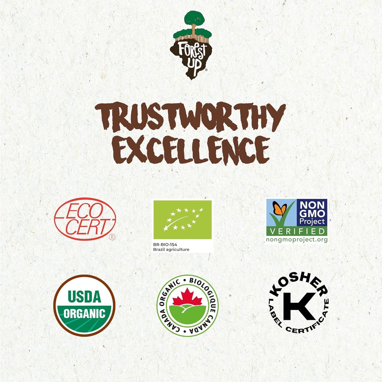 Snack The True Organic Brazil Nuts 7 oz – Raw and Unsalted – Kosher – Healthy-Rich in Vegetable Protein – Harvested in Amazon Rainforest – Fresh, Vegan and Gluten Free – Forest Up - Image 5