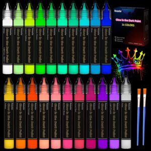 Roizefar Glow in the Dark Paint, 21...