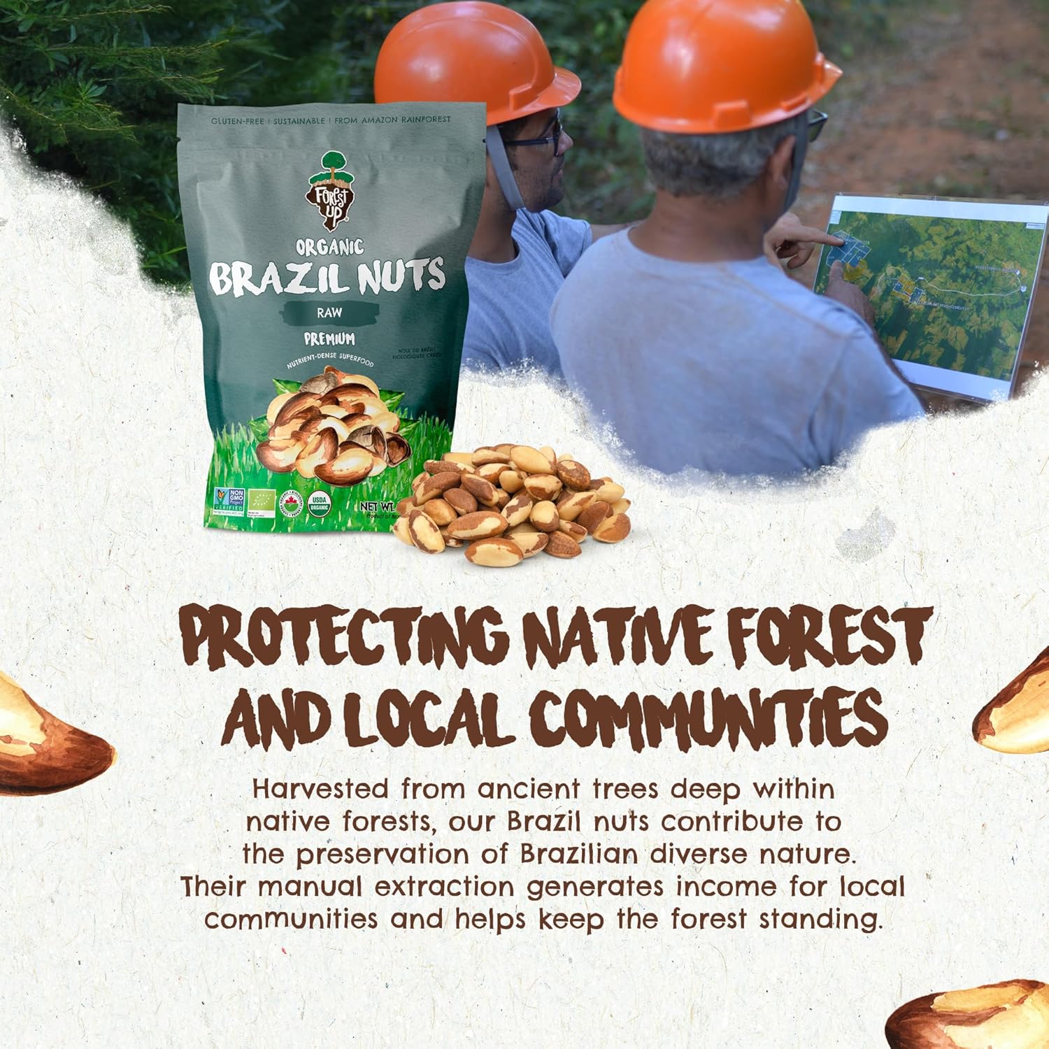 Snack The True Organic Brazil Nuts 7 oz – Raw and Unsalted – Kosher – Healthy-Rich in Vegetable Protein – Harvested in Amazon Rainforest – Fresh, Vegan and Gluten Free – Forest Up - Image 7