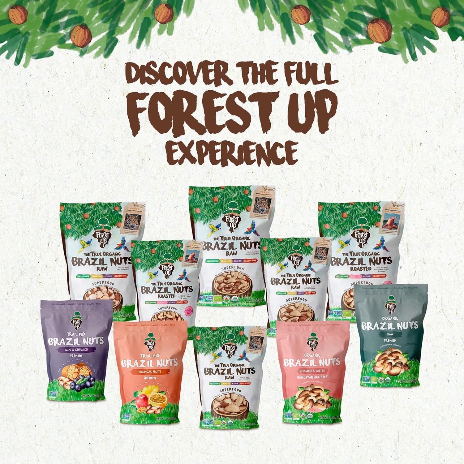 Snack The True Organic Brazil Nuts 7 oz – Raw and Unsalted – Kosher – Healthy-Rich in Vegetable Protein – Harvested in Amazon Rainforest – Fresh, Vegan and Gluten Free – Forest Up - Image 8