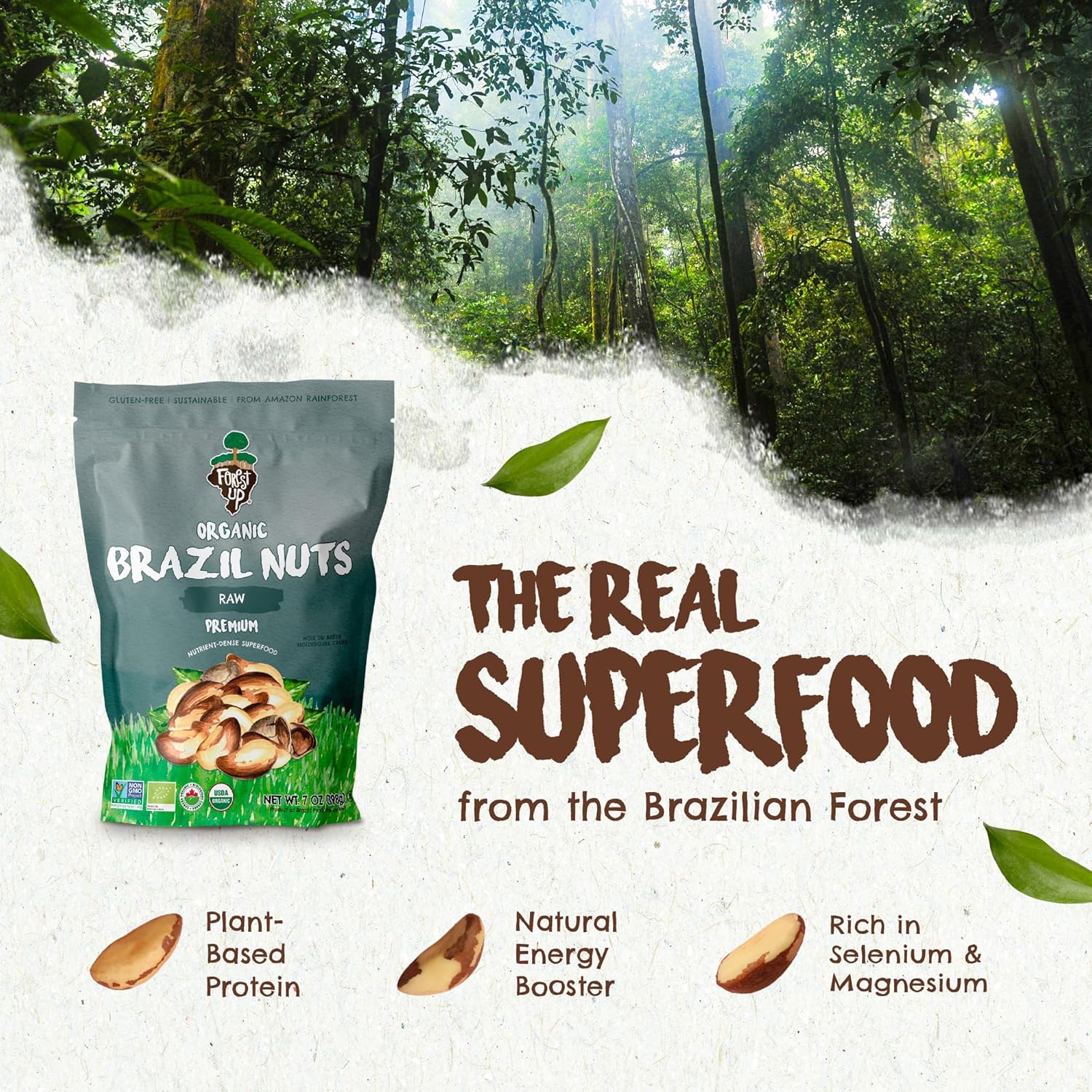 Snack The True Organic Brazil Nuts 7 oz – Raw and Unsalted – Kosher – Healthy-Rich in Vegetable Protein – Harvested in Amazon Rainforest – Fresh, Vegan and Gluten Free – Forest Up - Image 3
