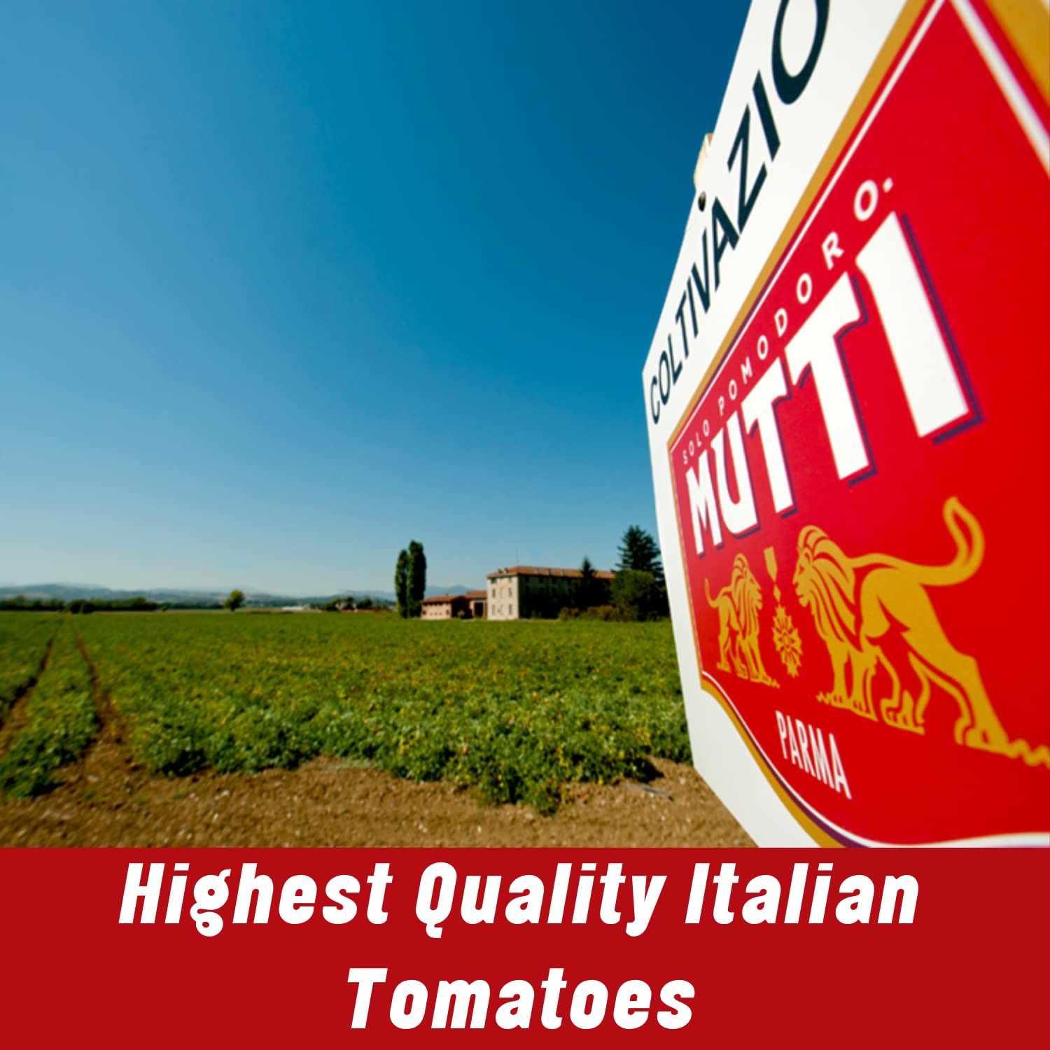 Mutti Double Concentrated Tomato Paste (Doppio Concentrato), 4.5 oz. Tube | 4 Pack | Italy’s #1 Brand of Tomatoes | Tube Tomato Paste | Vegan Friendly & Gluten Free | No Additives or Preservatives - Image 6