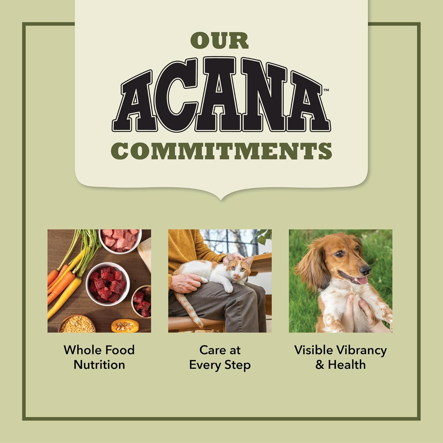 ACANA Premium Pate Wet Cat Food in Bone Broth Variety Pack: Salmon & Chicken + Tuna & Chicken Recipes 3oz Cans (12 Count, 6 of Each) - Image 8