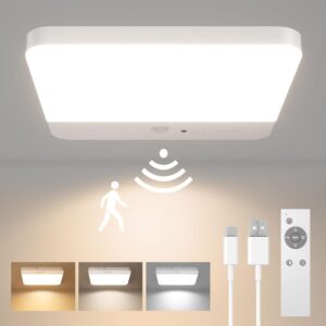 FULEN Motion Sensor Ceiling Light F...