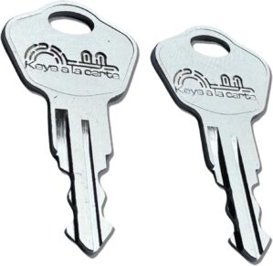 Pair of Replacement Keys for Sentry...