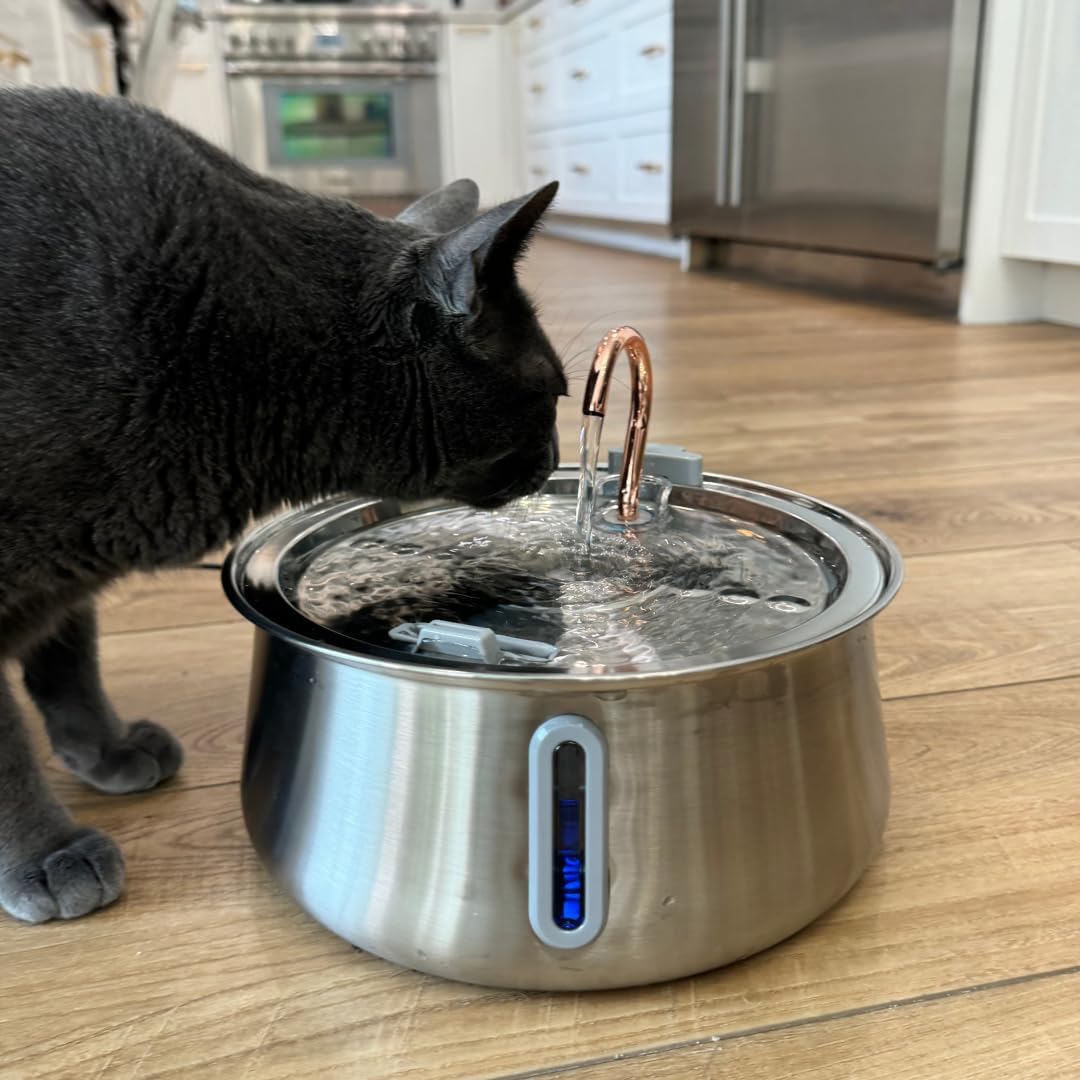KittySpout Stainless Steel Cat Water Fountain Automatic Drinking Fountain, Quiet Circulating Water Bowl, Dishwasher Safe, Indoor Pet Fountain for Hydrated Healthy Cats (Stainless Steel, 4L Corded) - Image 9