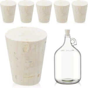 Ziliny 6 Pcs Carboy Cork Stopper, G...