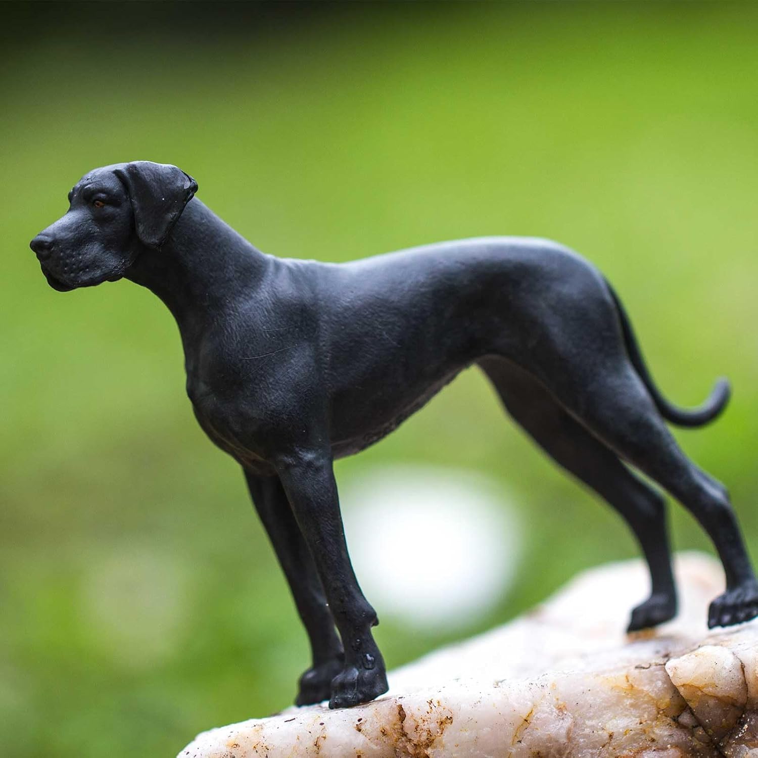 Safari Ltd. Great Dane Figurine - Detailed 5" Plastic Dog Figure - Toy for Boys, Girls, and Kids Ages 3+ - Image 7