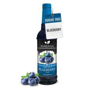Syruvia Sugar-Free Blueberry Syrup,...