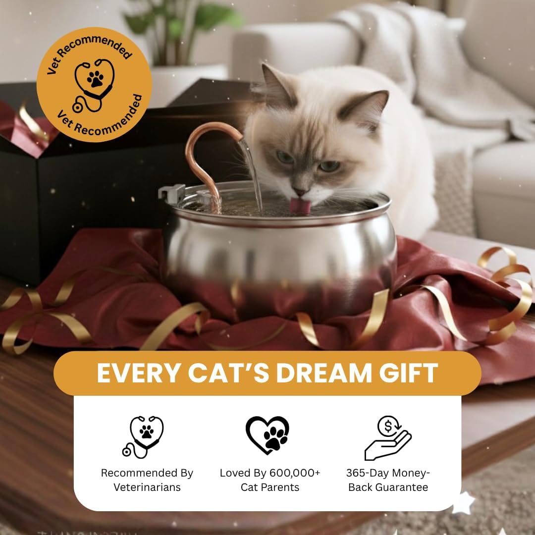 KittySpout Stainless Steel Cat Water Fountain Automatic Drinking Fountain, Quiet Circulating Water Bowl, Dishwasher Safe, Indoor Pet Fountain for Hydrated Healthy Cats (Stainless Steel, 4L Corded) - Image 2