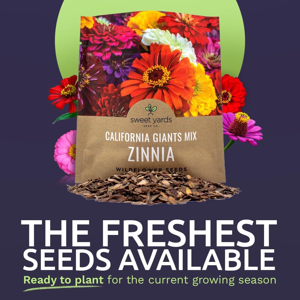 Zinnia Seeds - California Giants Mix - Large 1 Ounce Packet - 3,000 Flower Seeds - Mixed Colors and Large Blooms - Image 2