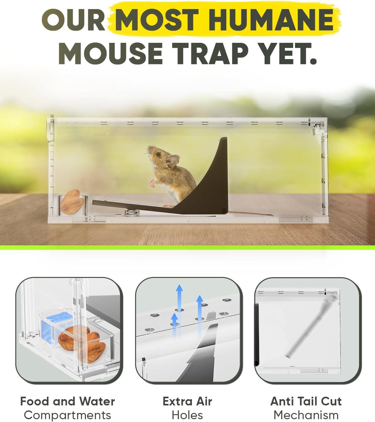 Motel Mouse Humane Mouse Traps No Kill Live Catch and Release 2 Pack - Reusable, Easy to Use & Clean, No Touch Release, Sensitive Includes Cleaning Brush, Instruction Manual & Video - Mousetrap Indoor - Image 2