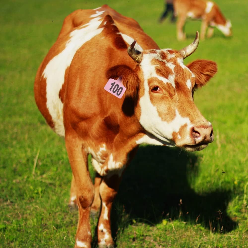 Cattle Ear Tags 001-100 Number Plastic Livestock Animal Tag for Cows Ear Tag Applicator Kit (Pink) - Image 7