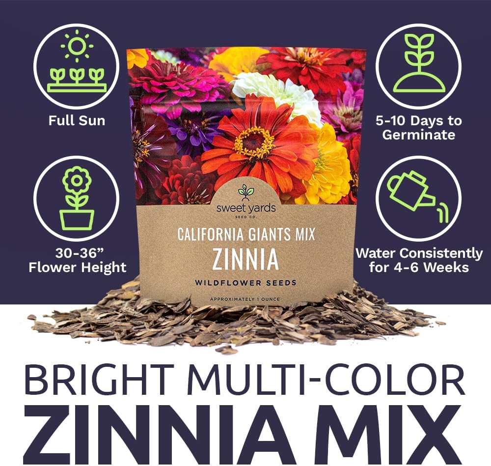 Zinnia Seeds - California Giants Mix - Large 1 Ounce Packet - 3,000 Flower Seeds - Mixed Colors and Large Blooms - Image 6