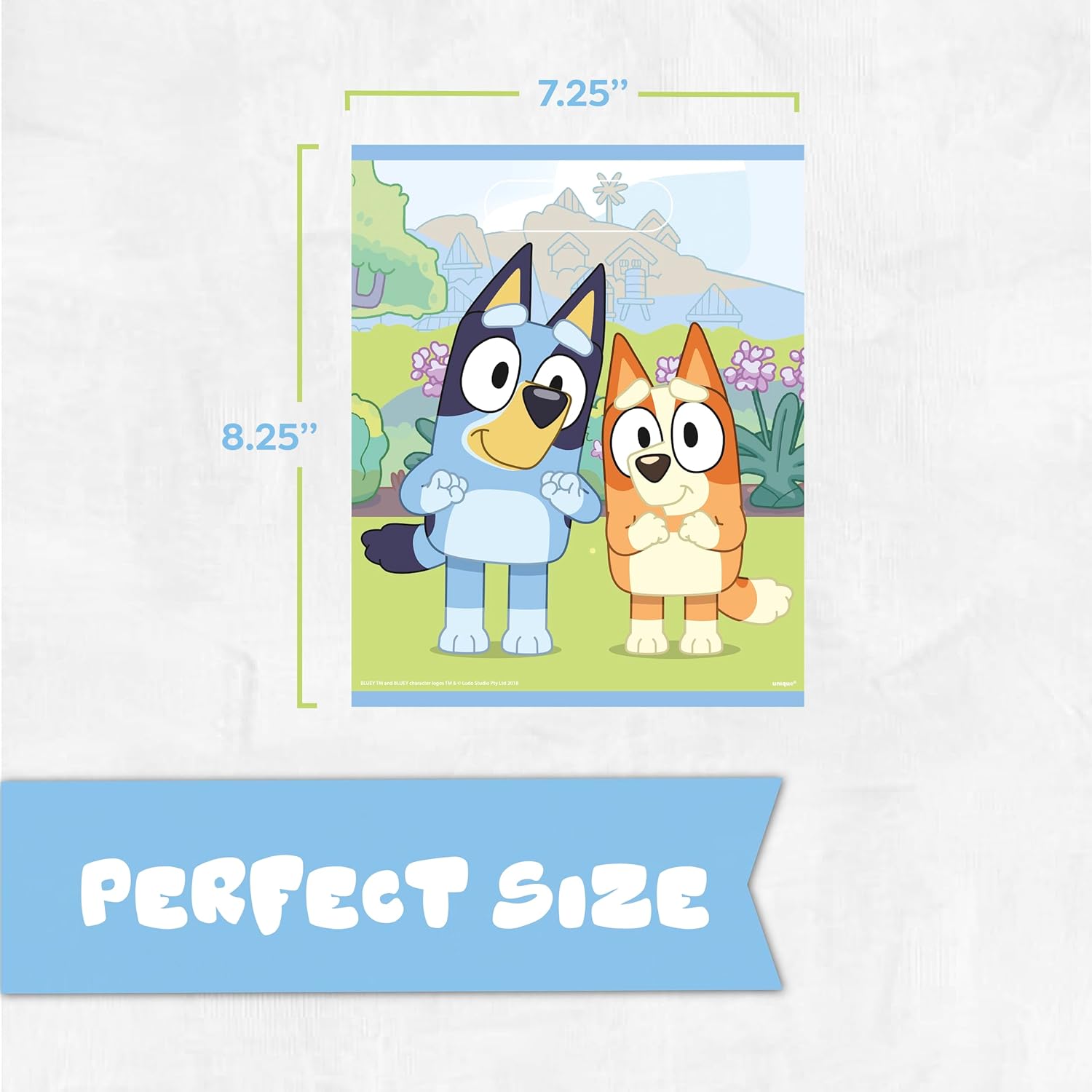 Unique Bluey Goodie Bags for Party Favors | 16 Pack | Bluey Birthday Decorations and Party Supplies - Image 4