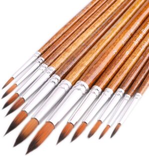 Artist Watercolor Paint Brushes, Ro...