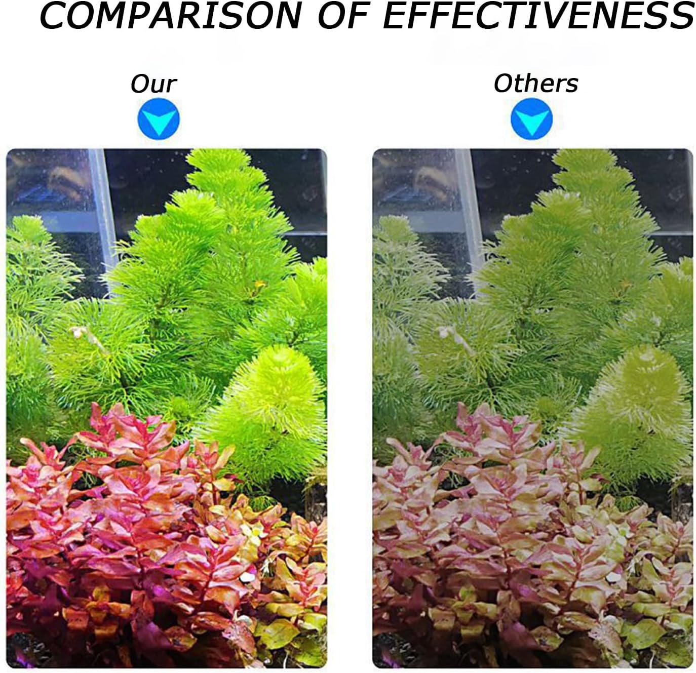 LED Aquarium Light Full Spectrum Clip Fish Tank Light Plants Light 360° Adjustable 2 Light Bar Super-Bright 8W Suitable for 20-40 Gal Fish Tank - Image 4