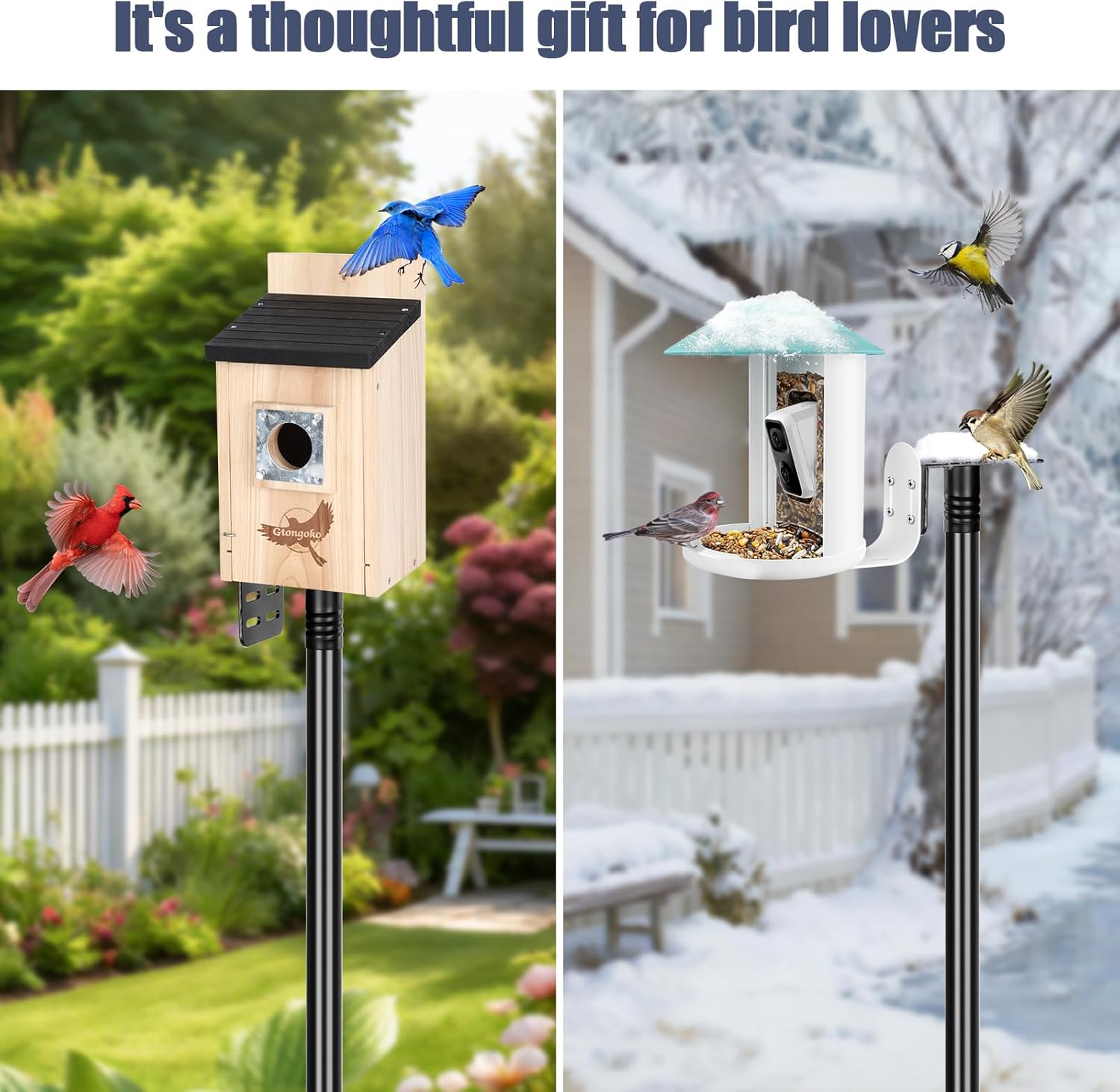 Gtongoko Smart Bird Feeder Pole 1-Inch Dia 79 Inch Bluebird House Pole for Outdoors Weather Station Heavy Duty Metal Mounting Kit Adjustable Bird Feeder Stand Black - Image 6