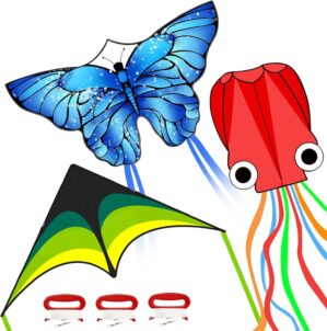 Kites for Kids & Adults, Beach...