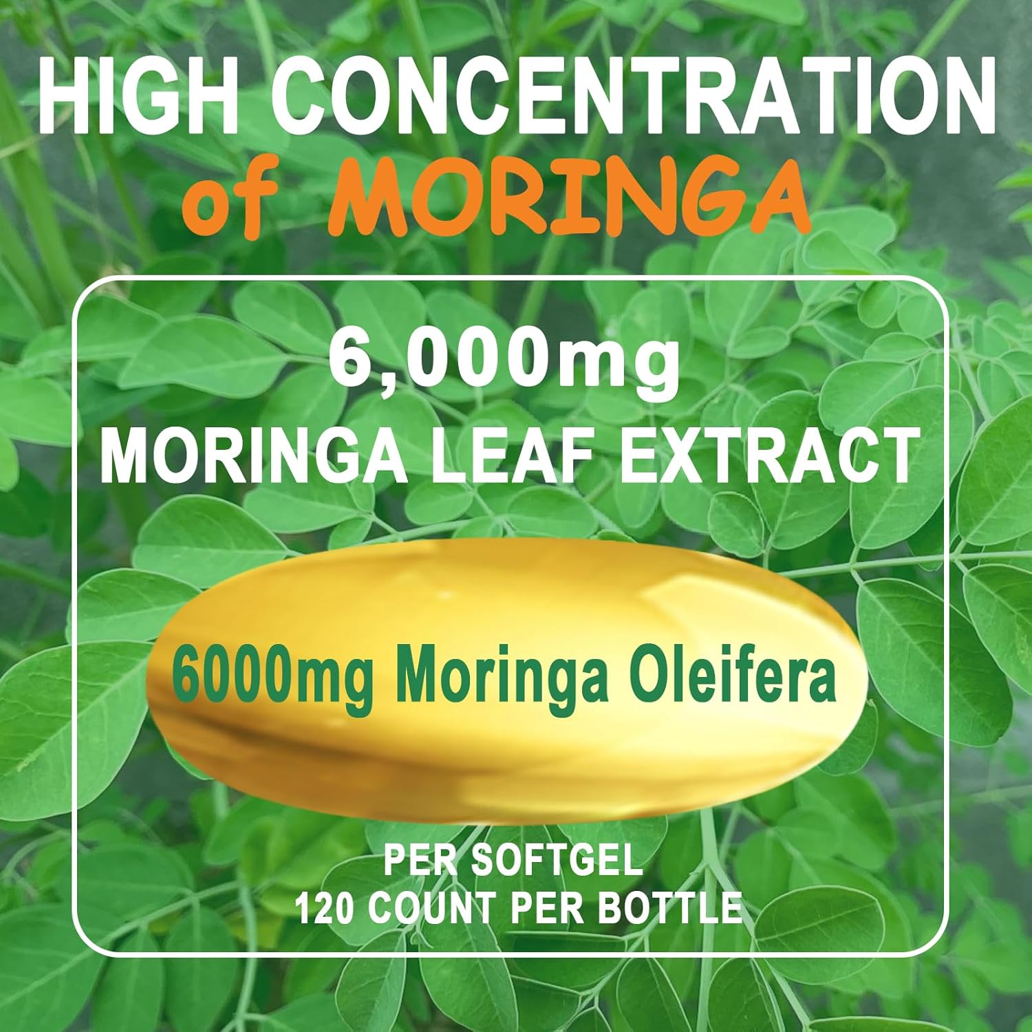 Moringa Softgels, Organic Pure Moringa Oleifera Leaves Extract for Energy, Skin, Gut Health, Immune, Natural Antioxidant, High Potency Moringa Oil Than Moringa Powder, Non-GMO, 60 Serving - Image 4