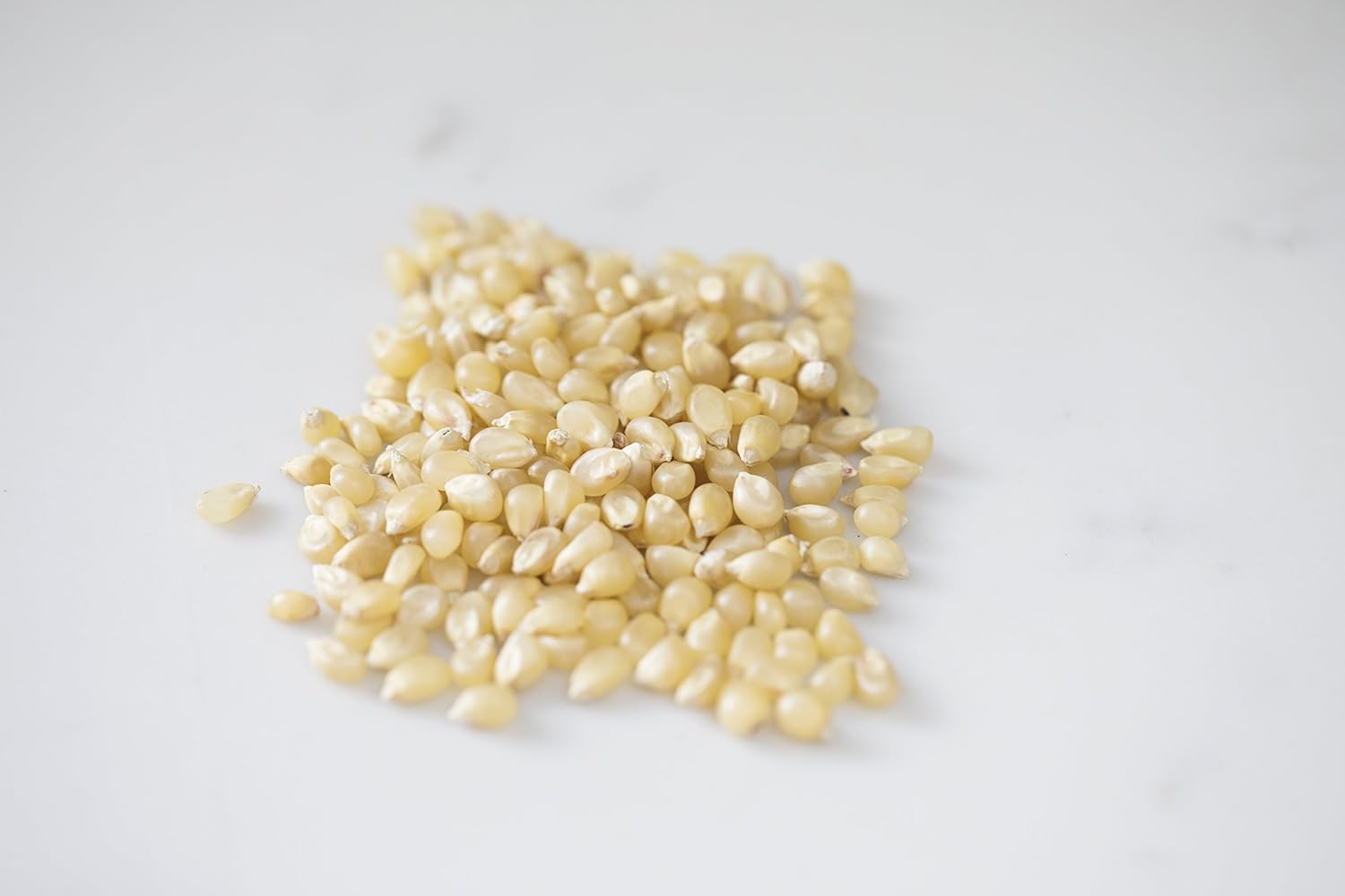 Amish Country Popcorn | 2 Lb Medium White Popcorn | Old Fashioned, Non-GMO and Gluten Free (2lb Bags) - Image 4