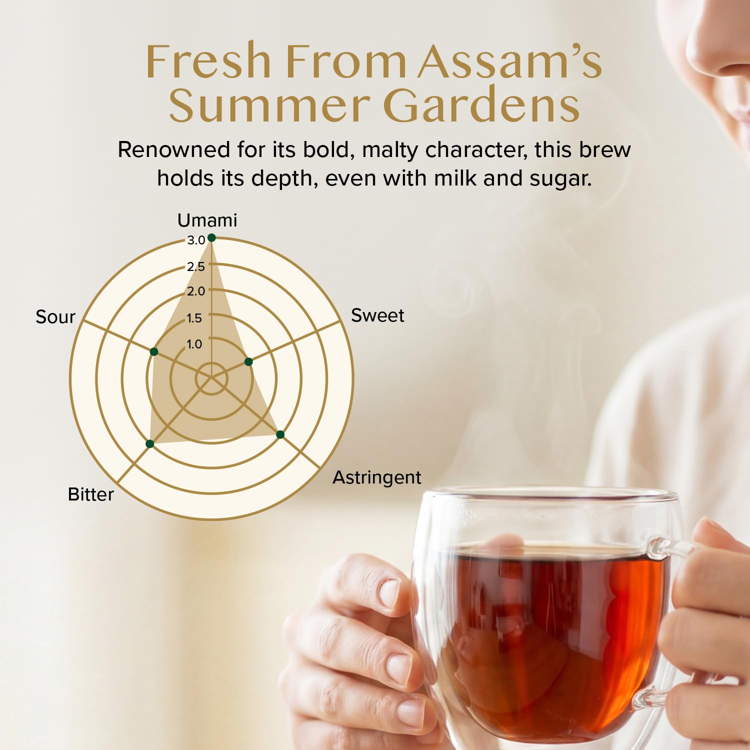 VAHDAM, Assam CTC Black Tea Loose Leaf 170+ cups (12oz) STRONG, BOLD & RICH Loose Leaf | Pure Assam Chai Tea | Pure Unblended Single Origin Black Tea | Vacuum Sealed - Image 5