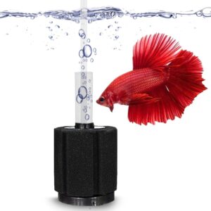 SunGrow 10-Gallon Betta Sponge Filt...