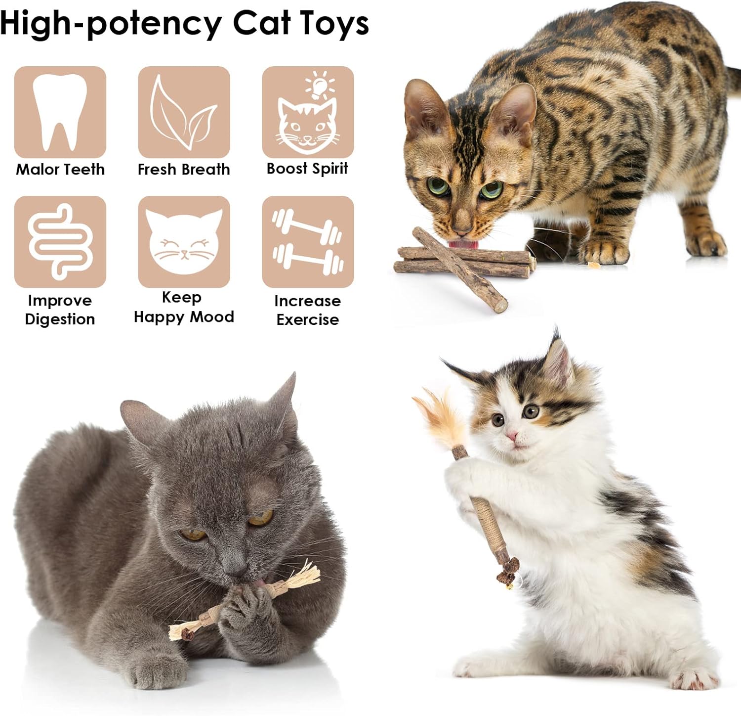 Bissap 10 PCS Silvervine Chew Sticks for Cats, Catnip Chew Sticks Cat Toys for Indoor Cat Kitten Teeth Grinding Interactive Feather Toys for Aggressive Chewers Dental Care - Image 2
