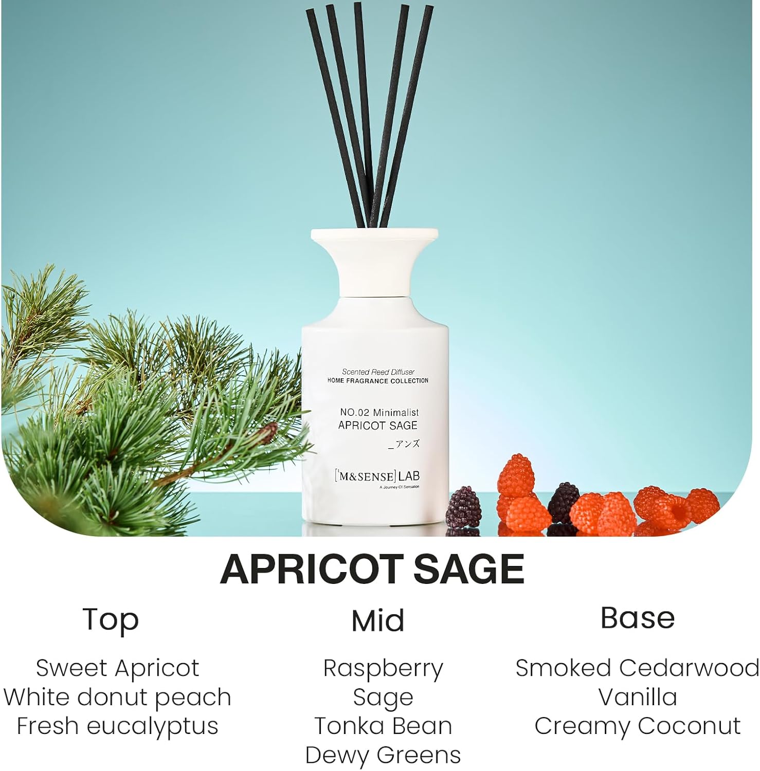 M&SENSE Minimalist Large Reed Diffuser 300ml, Apricot Sage Scented with Natural Essential Oils, Long Lasting with 7 Sticks, Non-Toxic Home Fragrance for Bedroom, Bathroom Decor - Image 2