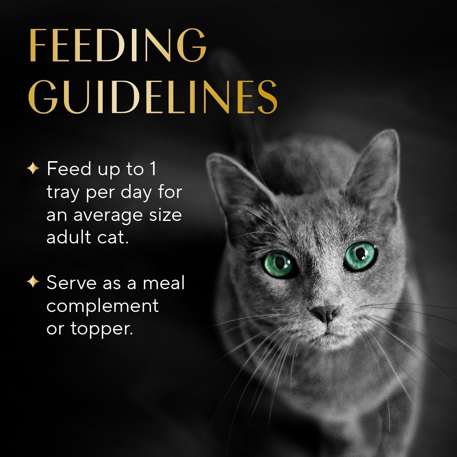 Sheba Selections Filets in Broth, Adult Cat Food Wet Recipe, Meal Complement, Chicken Recipe, 1.3 oz. Cups, 12 Count - Image 6