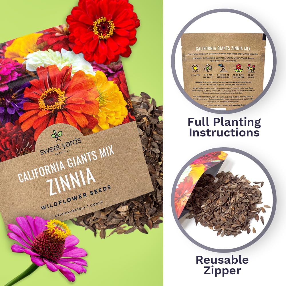 Zinnia Seeds - California Giants Mix - Large 1 Ounce Packet - 3,000 Flower Seeds - Mixed Colors and Large Blooms - Image 5